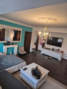 TV a/nebo společenská místnost v ubytování Raisa House