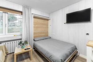 Μια τηλεόραση ή/και κέντρο ψυχαγωγίας στο Loft Relajante Est esquí La Pinilla