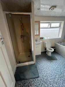 a bathroom with a shower and a toilet and a sink at spacious King bed 30FT Room in Kenton