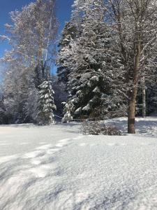 Lakeside House, Storstugan v zimě + 101 fotografií