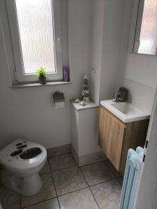 a bathroom with a toilet and a sink and a window at Ferienwohnung Luka in Kaulsdorf