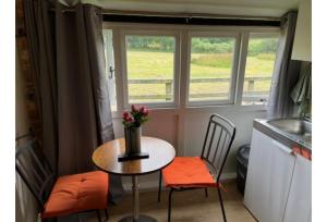 einen Tisch mit zwei Stühlen und eine Vase mit Blumen in der Unterkunft Halfway Inn in Morden