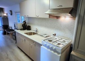 a kitchen with a stove and a sink at Hooglander rust, Boschaletje in Hattemerbroek