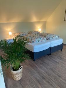 una camera da letto con un letto e una pianta in vaso di B&B L'Atout de France a Fléré-la-Rivière