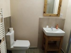 a bathroom with a toilet and a sink and a mirror at Penzion Toliar in Vrbov
