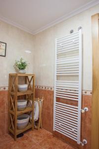 a bathroom with a shower and a shelf with dishes at Castillo Buenavista in Ponferrada +19 photos