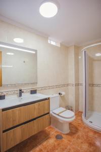a bathroom with a toilet and a sink and a shower at Castillo Buenavista in Ponferrada