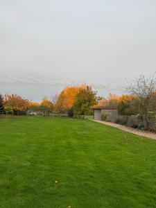 ein großes grünes Feld mit Bäumen im Hintergrund in der Unterkunft Poets View - Studio in Honington, Suffolk in Honington