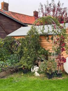 einen Garten mit Blumen in Töpfen an der Seite eines Hauses in der Unterkunft Poets View - Studio in Honington, Suffolk in Honington