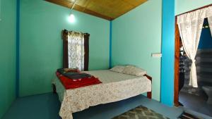 Arman homestay mawlynnong في Mawlynnong: غرفة نوم بسرير والجدران الزرقاء ونافذة +صورتان