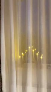 una tenda per la doccia con luci in camera di Mystic Twistic a Vîrfurile