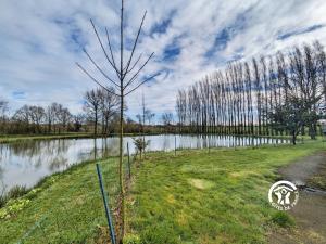 Příroda nedaleko prázdninového domu + 27 fotografií