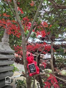 un orologio rosso su un albero con fiori rossi di ist villa 04 Ocean Escape Sleeps 3 a Bizen