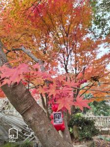 Ein rotes Vogelfutterhaus steckt in einem Baum fest in der Unterkunft ist villa 05 Mountain Hideout Sleeps 3 in Wada