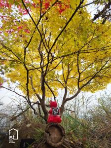 Ein Spielzeug-Feuerhydrant steht unter einem Baum in der Unterkunft ist villa 06 Private Beachfront Sleeps 16 in Wada