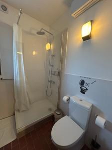 a bathroom with a white toilet and a shower at Minho AL in Paredes de Coura +32 photos
