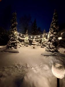 a park covered in snow with christmas trees and lights at Hotel Pod Jeleniem in Świeradów-Zdrój