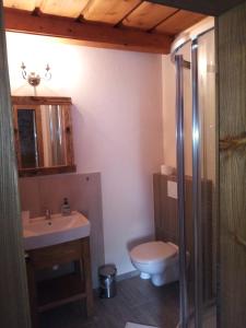 un bagno con un water e un lavandino di Penzion Toliar a Vrbov