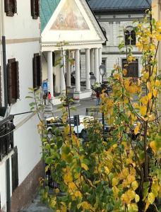 a tree with yellow flowers in front of a building at Casa Anna in Santo Stefano di Cadore