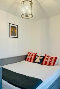 Bett in einem Zimmer mit roten Kissen darauf in der Unterkunft Casa Cara in Târgovişte