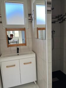 ein Badezimmer mit Waschbecken, Spiegel und Dusche in der Unterkunft Gîte de la loge SAMY in Châtillon-sur-Broué