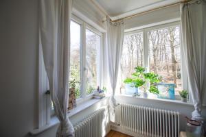 ein Fenster mit weißen Vorhängen und Topfpflanzen darauf in der Unterkunft Gästezimmer Volksdorf in Hamburg + 21 Fotos