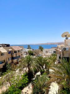 Naturlandskabet i nærheden af lejligheden