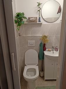 a small bathroom with a toilet and a sink at Holiday House with scenic Apartment in Ptuj