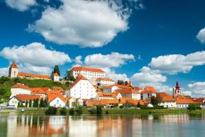 a town on a hill next to a body of water at Holiday House with scenic Apartment in Ptuj