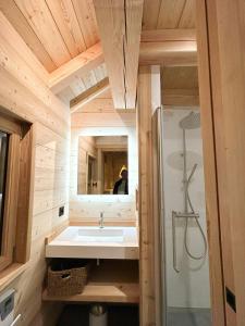 拉萨尔莱阿尔佩Chalet De Luxe Au Cœur De Serre Chevalier的带水槽和淋浴的浴室