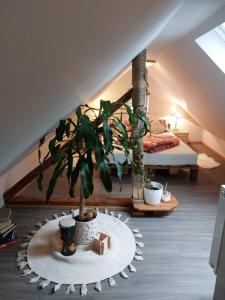 Zimmer mit einer Topfpflanze und einem Bett in der Unterkunft Apartmány Arin in Jáchymov