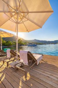 Φυσικό τοπίο κοντά σε αυτό το ξενοδοχείο διαμερισμάτων