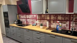 una cucina con armadi grigi e piano di lavoro di Vila Stern bei FFM Viel Platz und eigener Zugang a Nidderau