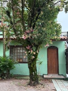 ein Gewächshaus mit einem Baum und einer Tür in der Unterkunft Pousada Charle Brown in Garopaba
