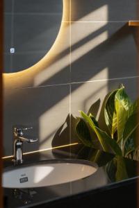 Ένα μπάνιο στο Pineapple House Đà Lạt +22 φωτογραφίες