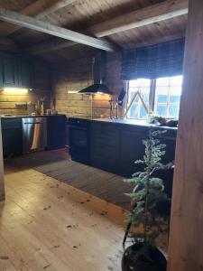 a kitchen with a christmas tree in a pot at Bjorlicabin in Bjorli