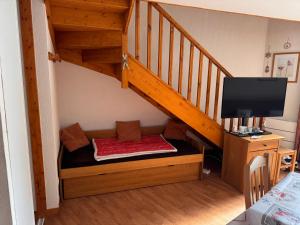 Et tv og/eller underholdning på T2 bis duplex 6 couchages situé aux BOTTIERES