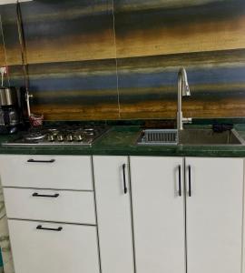 Kuchyň nebo kuchyňský kout v ubytování La beauté + 4 fotografie