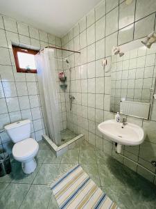 BekecsGreenPark Candy Manor with Large Garden Close to Tokaj的带马桶和水槽的浴室 更多32张照片