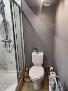 un bagno con wc e doccia di Petit chalet avec piscine privée a Lumbin 1 altra foto