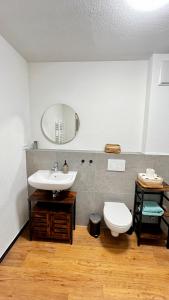 een badkamer met een wastafel en een toilet bij Wohlfühlwohnung mit Dachterrasse in Donaueschingen