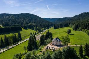an aerial view of a house in a green field at Alte Försterei Wildenthal - Ferienwohnungen in Eibenstock in Eibenstock