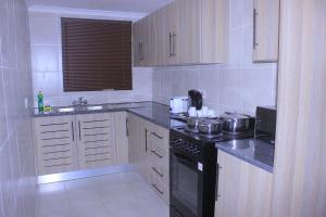 Villa Central في فرانسیستوون: مطبخ مع موقد اسود ومغسلة +11 صورة