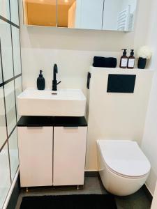 A bathroom at Modernes 1 Zimmer Appartement direkt am Wörthsee