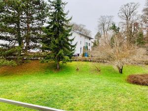 A garden outside Modernes 1 Zimmer Appartement direkt am Wörthsee