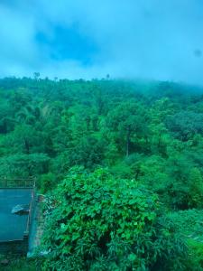 Φυσικό τοπίο κοντά σε αυτό το διαμέρισμα