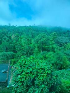 Φυσικό τοπίο κοντά σε αυτό το διαμέρισμα +8 φωτογραφίες