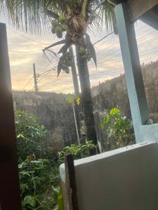 Φωτογραφία από το άλμπουμ του Recanto da Neide σε Itanhaem +3 φωτογραφίες