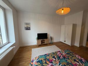 a bedroom with a bed and a television in it at Le Refuge de Raoul in Montier-en-Der