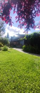 a view of a yard with a building in the background at Rayen hue in Esquel